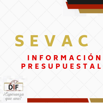 SEVAC INFORMACION PRESPUESTAL