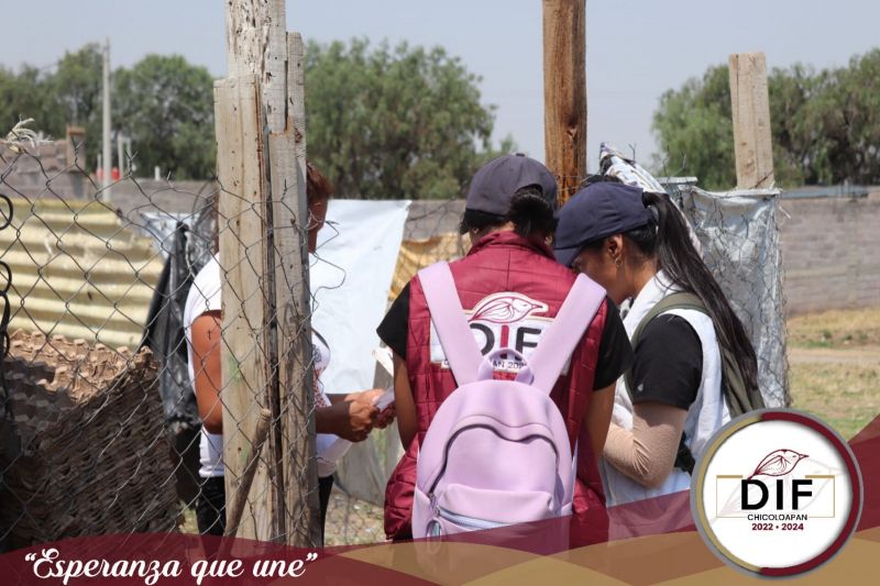 Boletín 43. DIFEM lanza convocatoria de registro a la Canasta Alimentaria del Bienestar