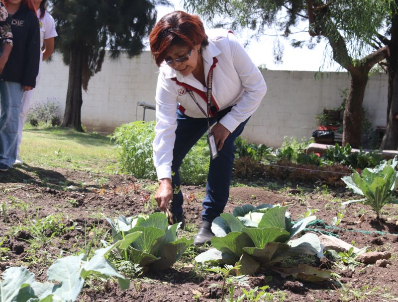 Boletín 20| HortaDif impulsa el autocultivo la alimentación saludable